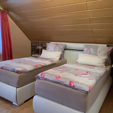 伽斯特翰斯莫妮卡酒店 霍恩巴赫