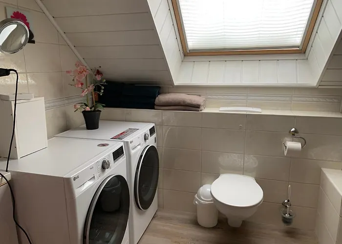 伽斯特翰斯莫妮卡酒店 4* 霍恩巴赫