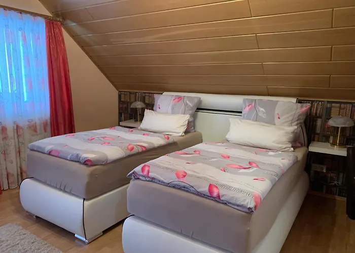 伽斯特翰斯莫妮卡酒店 霍恩巴赫