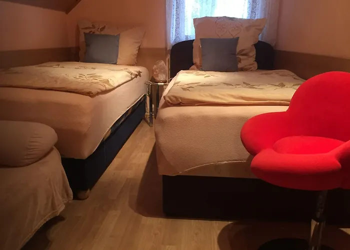 伽斯特翰斯莫妮卡酒店 霍恩巴赫