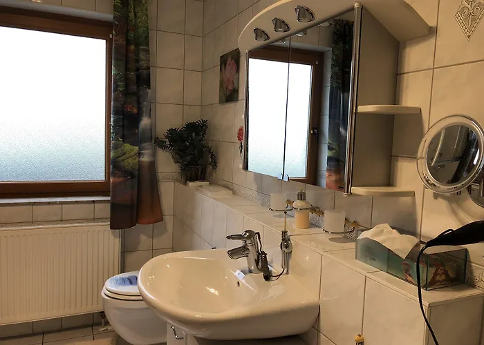 伽斯特翰斯莫妮卡酒店 招待所 霍恩巴赫