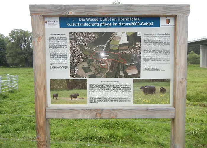 伽斯特翰斯莫妮卡酒店 招待所