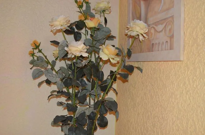 伽斯特翰斯莫妮卡酒店 4*