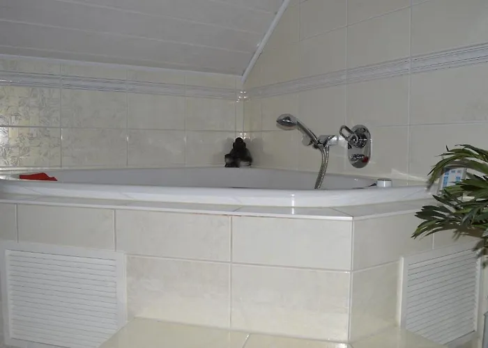 招待所 伽斯特翰斯莫妮卡酒店 霍恩巴赫