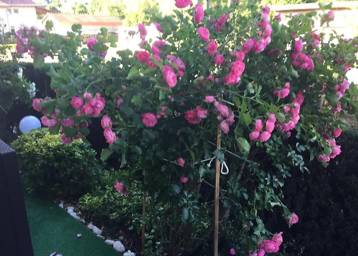 伽斯特翰斯莫妮卡酒店 招待所